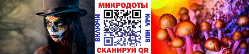 наркота  Камешково  Псилоцибиновые грибы ЛСД 